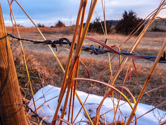 Cottonmill Park, Kearney, Nebraska 12/24/2018