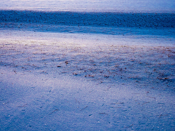 Tranquility Park, Omaha, Nebraska 1/20/2020